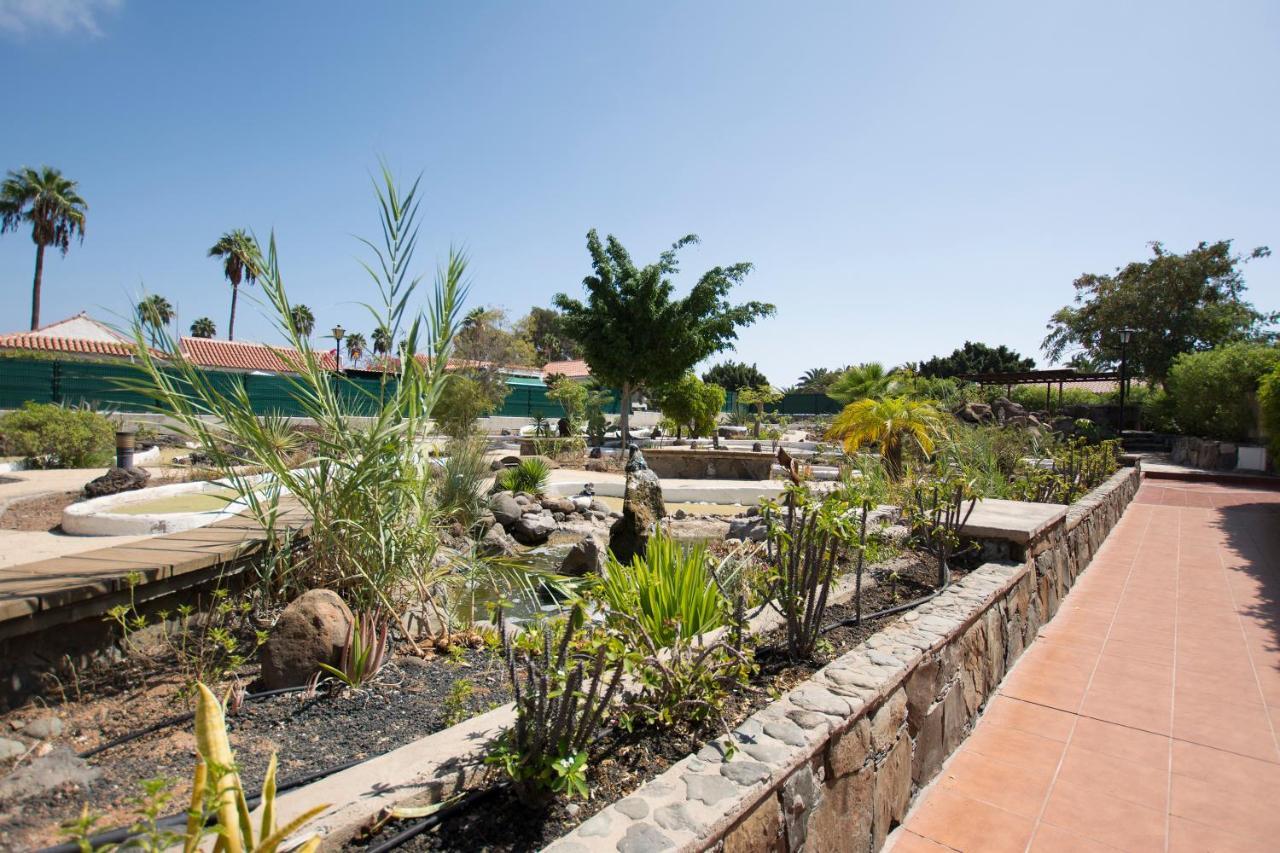 Serenity Garden Μασπαλόμας Εξωτερικό φωτογραφία