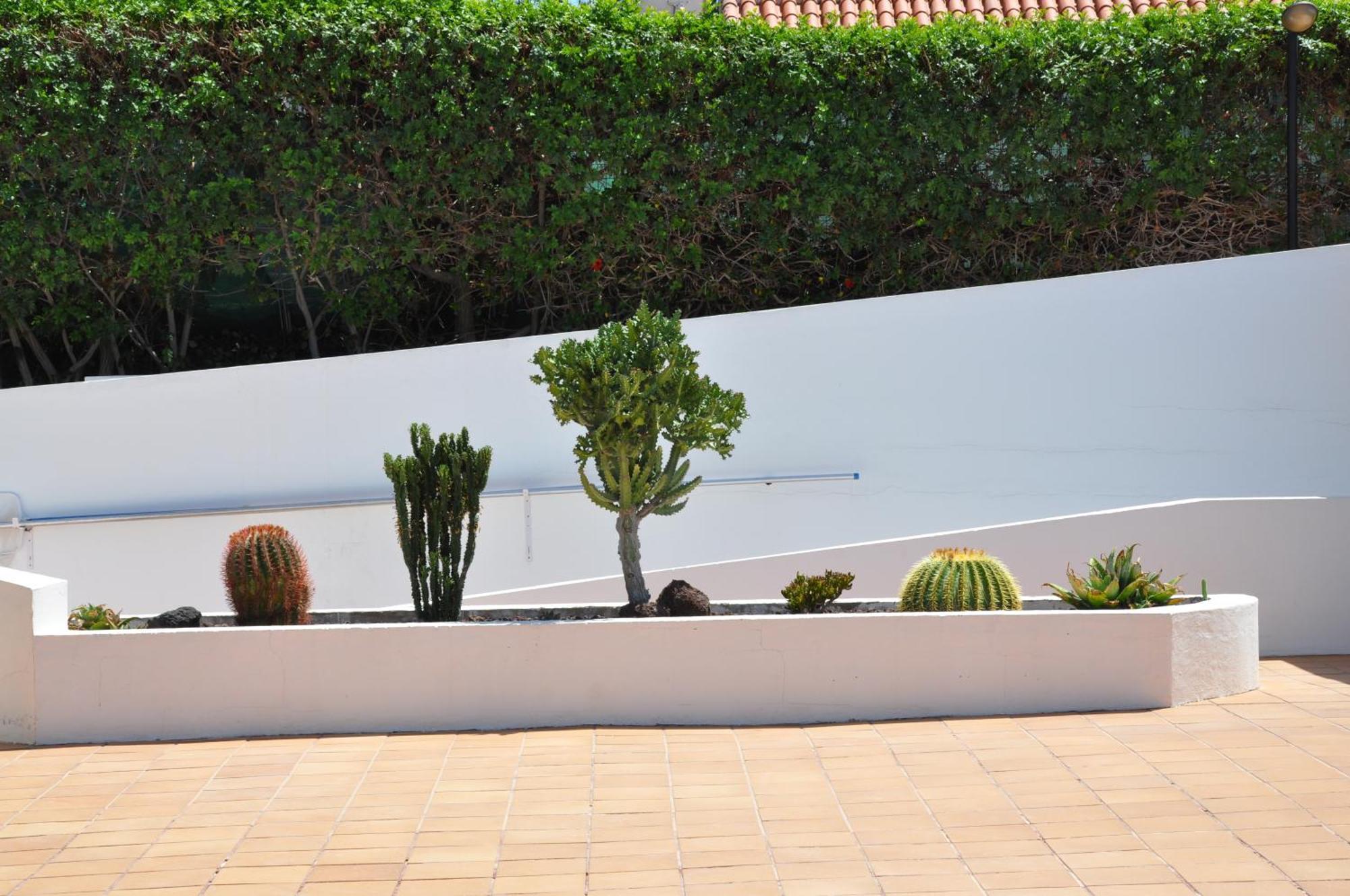 Serenity Garden Μασπαλόμας Εξωτερικό φωτογραφία