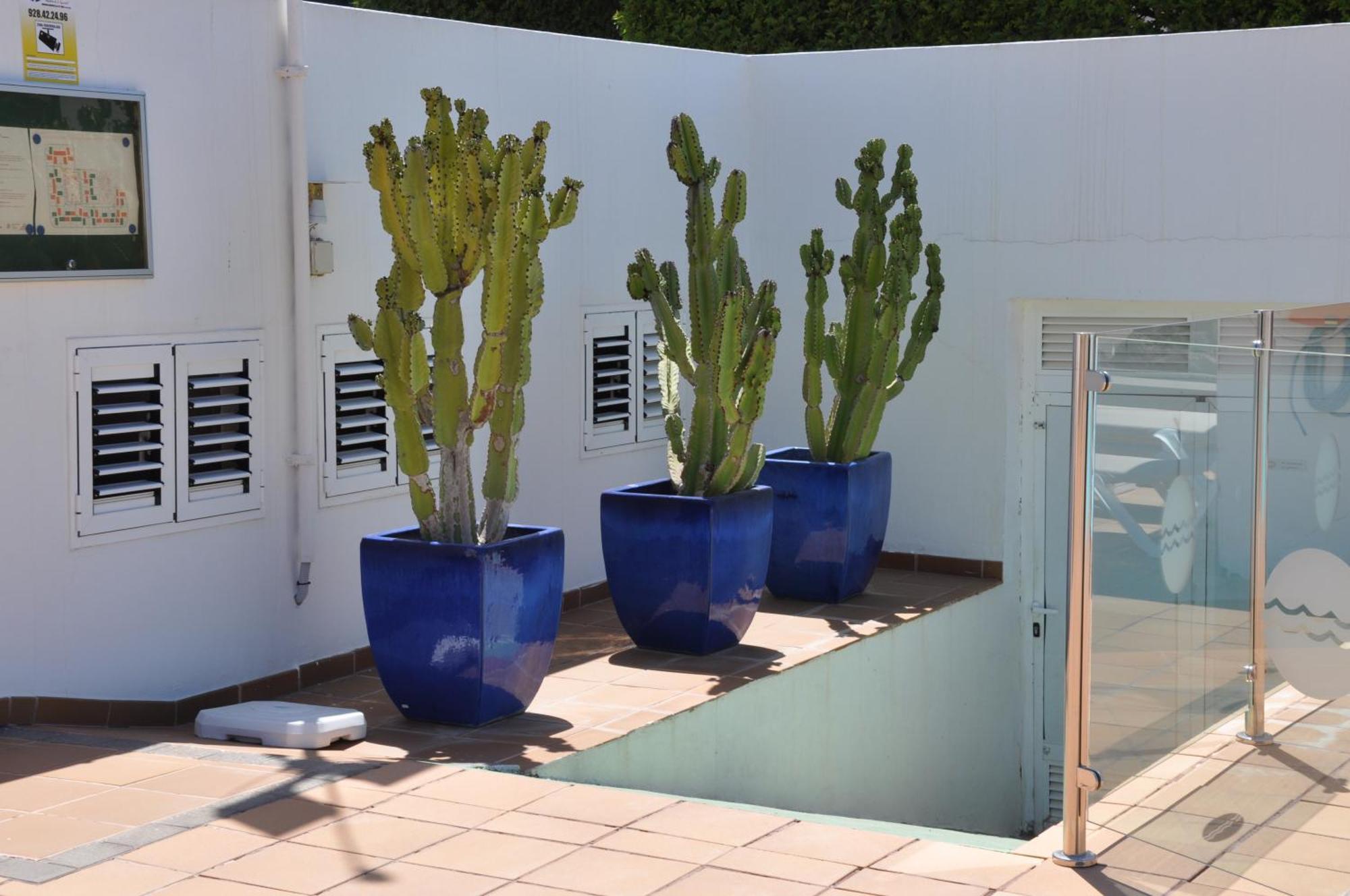 Serenity Garden Μασπαλόμας Εξωτερικό φωτογραφία